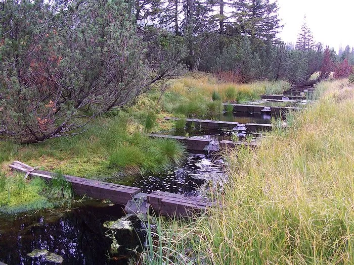 Exkurze do NP Šumava